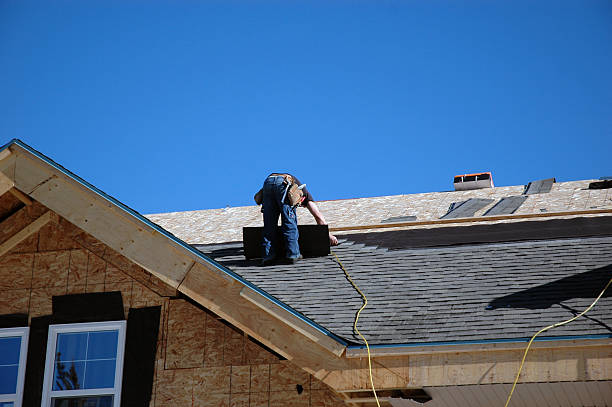 Best Roof Ventilation Installation  in Fairfax, MN